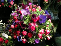 /album/galerie-photos/a247-jpg1/