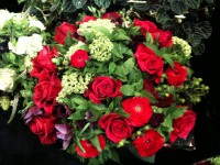 /album/galerie-photos/a249-jpg1/