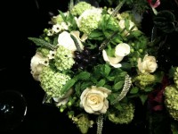 /album/galerie-photos/a250-jpg1/