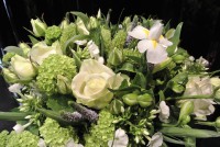 /album/galerie-photos/dsc-0062-jpg1/