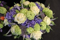 /album/galerie-photos/dsc-0065-jpg1/