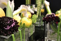 /album/galerie-photos/dsc-0116-jpg1/