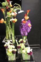 /album/galerie-photos/dsc-0120-jpg1/