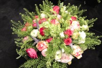 /album/galerie-photos/dsc-0124-jpg1/