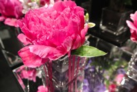 /album/galerie-photos/dsc-1078-jpg1/