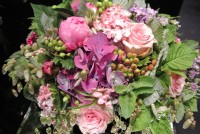 /album/galerie-photos/dsc-1491-jpg1/