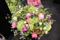 /album/galerie-photos/dsc-1496-jpg1/