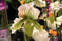 /album/galerie-photos/dsc-1504-jpg1/