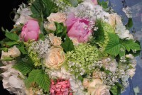 /album/galerie-photos/dsc-1519-jpg1/