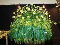 /album/galerie-photos/dsc00101-jpg1/