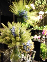 /album/galerie-photos/dscn0144-jpg1/