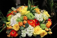 /album/galerie-photos/img-4495-jpg1/