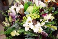 /album/galerie-photos/dsc-4873-jpg1/