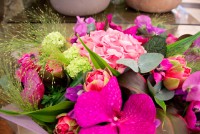 /album/galerie-photos/dsc-4876-jpg1/