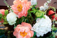 /album/galerie-photos/dsc-4918-jpg/