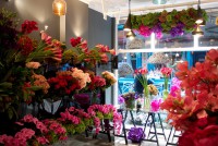 /album/galerie-photos/dsc-7626-jpg/