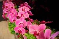 /album/galerie-photos/dsc-7632-jpg/