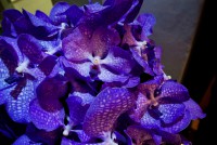 /album/galerie-photos/dsc-7751-jpg/