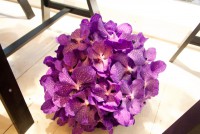 /album/galerie-photos/dsc-7609-jpg/