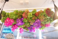 /album/galerie-photos/dsc-7613-jpg/