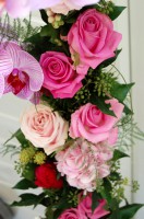 /album/galerie-photos/dsc-0130-jpg/