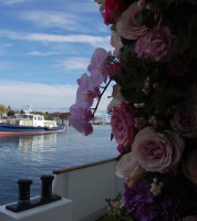 /album/galerie-photos/dsc-0188-jpg/