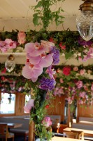 /album/galerie-photos/dsc-0203-jpg/