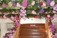 /album/galerie-photos/dsc-0255-jpg/