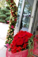 /album/galerie-photos/dsc-0291-jpg/