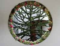 /album/galerie-photos/dsc-0294-jpg/