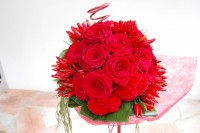 /album/galerie-photos/dsc-0384-jpg/