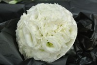 /album/galerie-photos/dsc-1184-jpg/