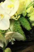 /album/galerie-photos/img-3646-jpg/