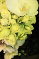 /album/galerie-photos/img-3648-jpg/