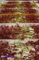 /album/galerie-photos/img-6547-jpg/