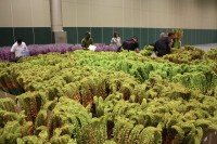 /album/galerie-photos/img-6561-jpg/