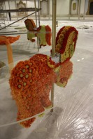 /album/galerie-photos/img-6609-jpg/