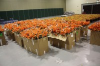 /album/galerie-photos/img-6634-jpg/