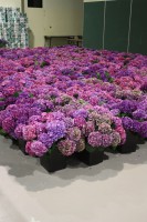 /album/galerie-photos/img-6645-jpg/