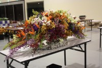 /album/galerie-photos/img-6646-jpg/