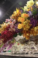 /album/galerie-photos/img-6651-jpg/