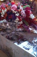 /album/galerie-photos/img-7072-jpg/