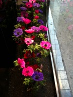 /album/galerie-photos/a264-jpg/