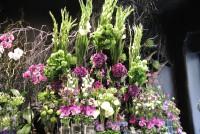 /album/galerie-photos/dsc-0034-jpg/