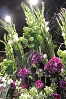 /album/galerie-photos/dsc-0098-jpg/