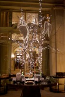 /album/galerie-photos/dsc-3815-jpg/