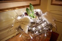 /album/galerie-photos/dsc-3898-jpg/