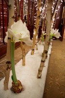 /album/galerie-photos/dsc-3926-jpg/