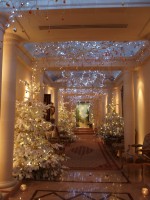 /album/galerie-photos/pc156310-jpg/